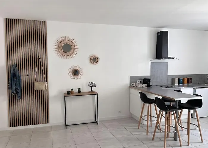 Grand Studio 29 M2 Refait A Neuf En Centre-Ville