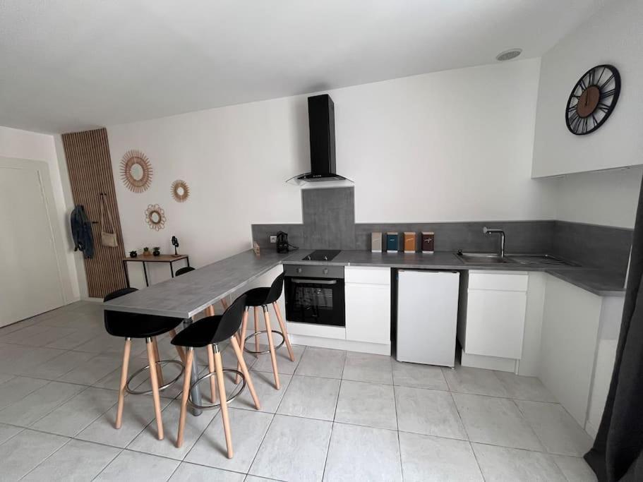 Appartement Grand 29 M2 Refait A Neuf En Centre-ville